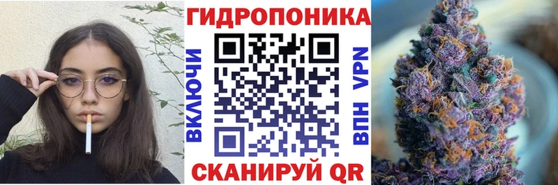 A PVP Армянск