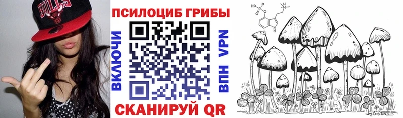 Псилоцибиновые грибы мухоморы  shop какой сайт  Армянск  kraken вход 