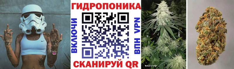 МАРИХУАНА планчик Армянск